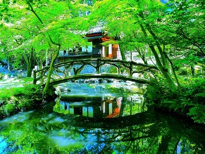 写真:入賞作品6 揚輝荘