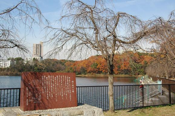 写真:猫が洞池と石碑