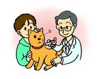イラスト:犬の注射