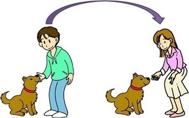 飼い主変更のイラスト