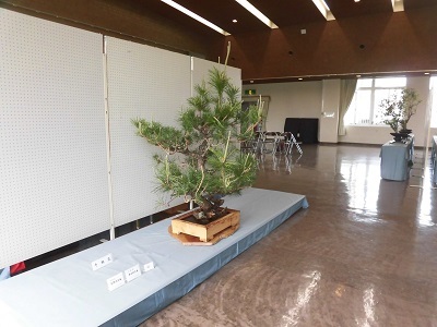 写真：いけばな展3