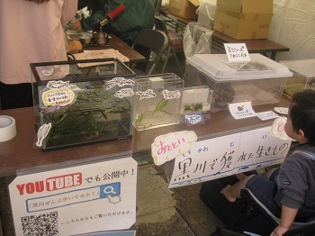 写真：黒川ドリーム会