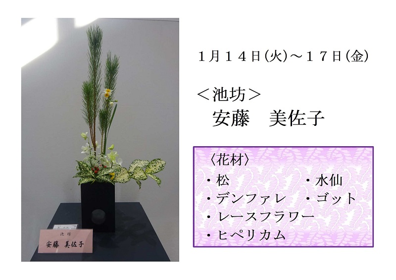 写真:1月14日から17日展示、池坊 安藤先生の作品です。花材は、松、デンファレ、レースフラワー、ヒペリカム、水仙、ゴットです。