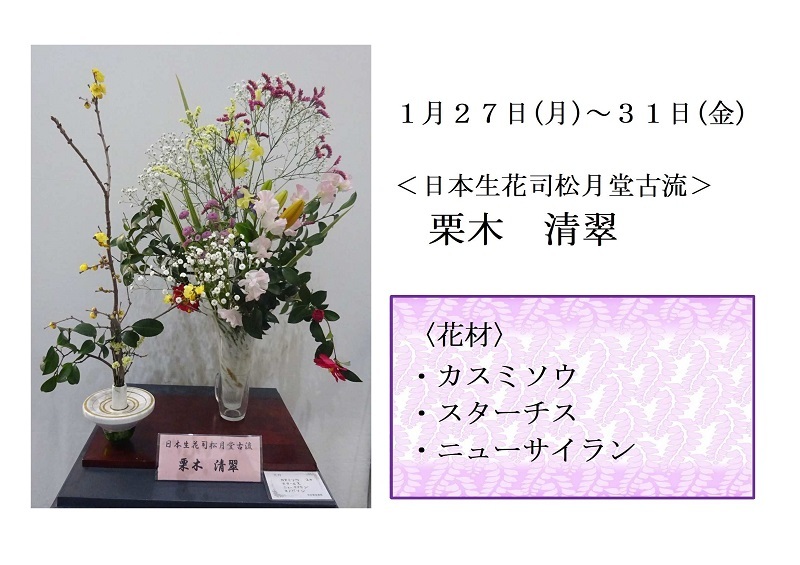 写真:1月27日から31日展示、日本生花司松月堂古流 栗木先生の作品です。花材は、カスミソウ、スターチス、ニューサイランです。