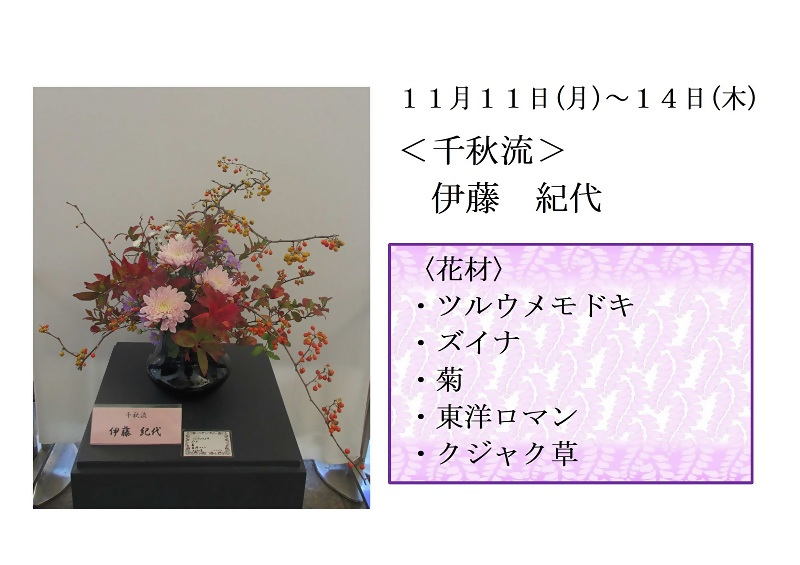 写真:11月11日から14日展示、千秋流の伊藤先生の作品です。花材は、ツルウメモドキ、ズイナ、菊、東洋ロマン、クジャク草です。