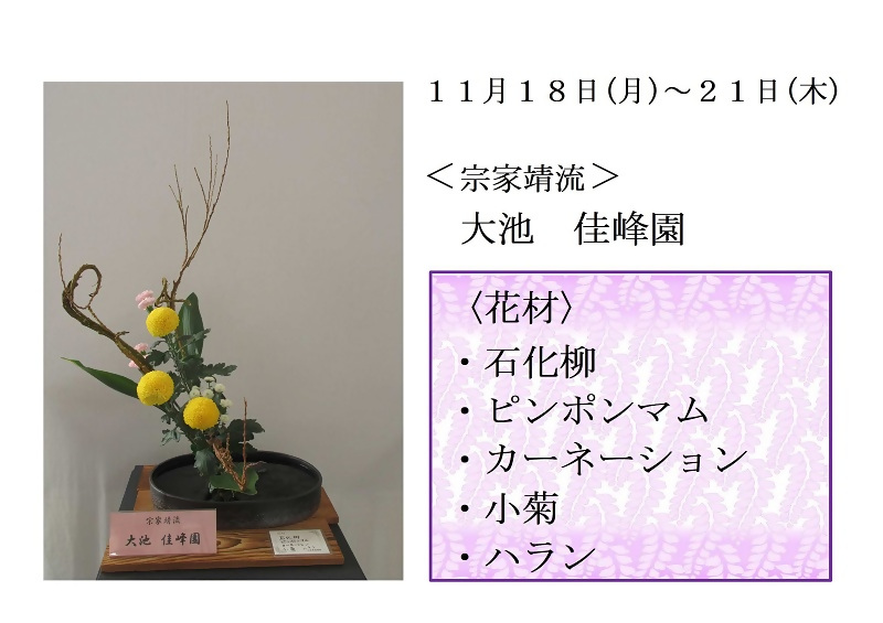 写真:11月18日から21日展示、宗家靖流の大池先生の作品です。花材は、石化柳、ピンポンマム、カーネーション、小菊、ハランです。