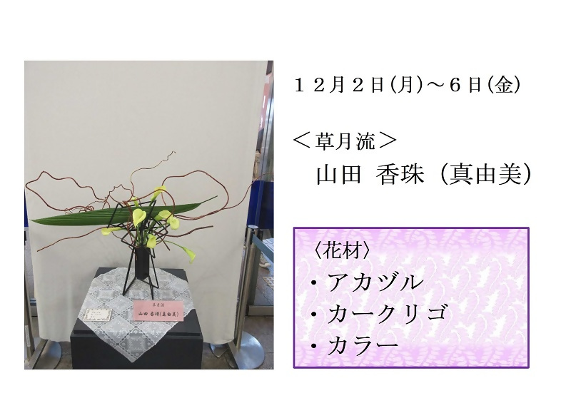 写真:12月2日から6日展示、草月流の山田先生の作品です。花材は、アカヅル、カークリゴ、カラーです。