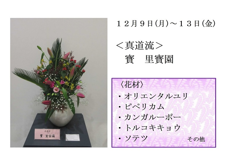 写真:12月9日から13日展示、真道流の宝先生の作品です。花材は、オリエンタルユリ、ピペリカム、カンガルーポー、トルコキキョウ、ソテツなどです。