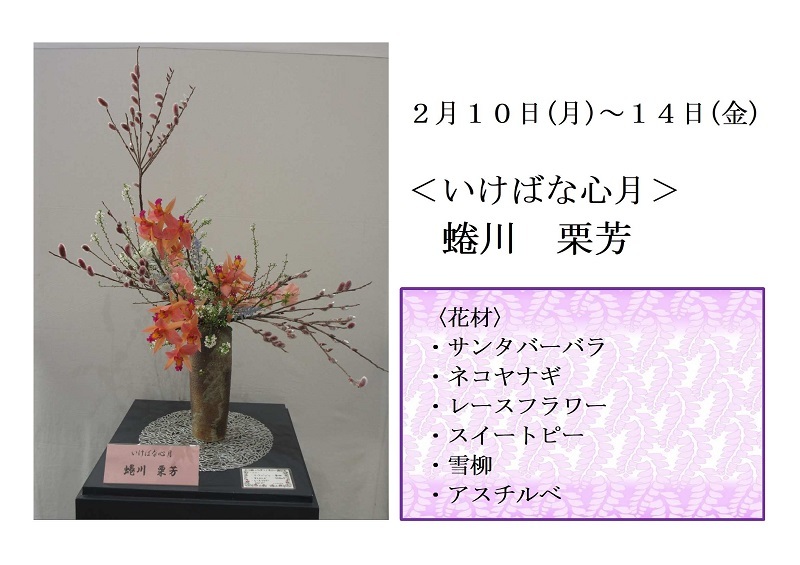 写真:2月10日から14日展示、いけばな心月の蜷川先生の作品です。花材は、サンタバーバラ、ネコヤナギ、レースフラワー、スイートピー、雪柳、アスチルベです。