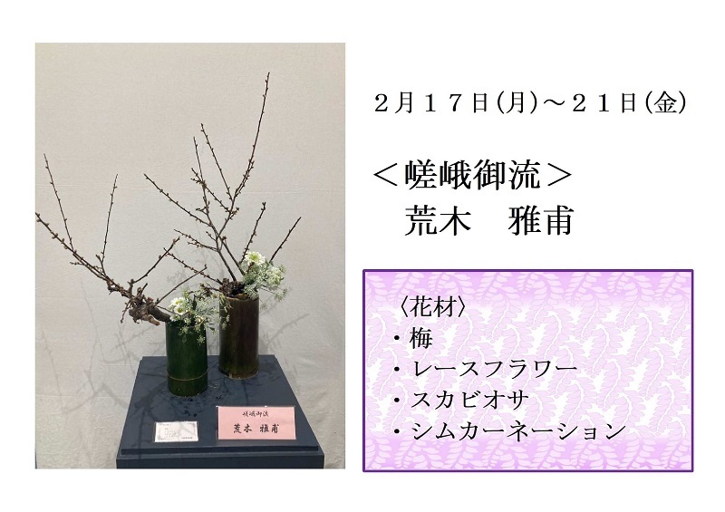 写真:2月17日から21日展示、嵯峨御流の荒木先生の作品です。花材は、梅、レースフラワー、スカビオサ、シムカーネーションです。