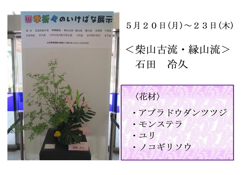 写真:5月20日から23日展示、柴山古流・縁山流の石田先生の作品です。使用花材はアブラドウダンツツジ、モンステラ、ユリ、ノコギリソウです。