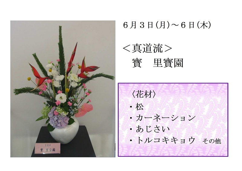写真:6月3日から6日展示、真道流の寶先生の作品です。使用花材は松、カーネーション、あじさい、トルコキキョウです。
