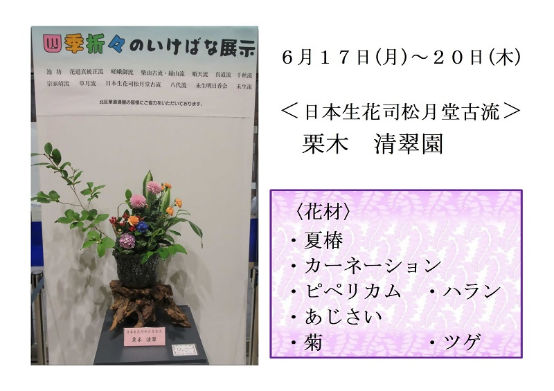 写真:6月17日から20日展示、日本生花司松月堂古流の栗木先生の作品です。使用花材は夏椿、カーネーション、ピペリカム、ハラン、あじさい、菊、ツゲです。