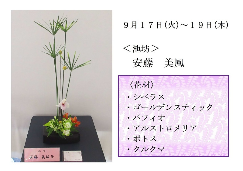 写真:9月17日から19日展示、池坊の安藤先生の作品です。使用花材は、シベラス、ゴールデンスティック、パフィオ、アルストロメリア、ポトス、クルクマです。