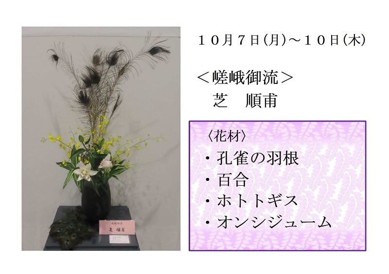 写真:10月7日から10日展示、嵯峨御流の芝先生の作品です。花材は、孔雀の羽根、百合、ホトトギス、オンシジュームです。