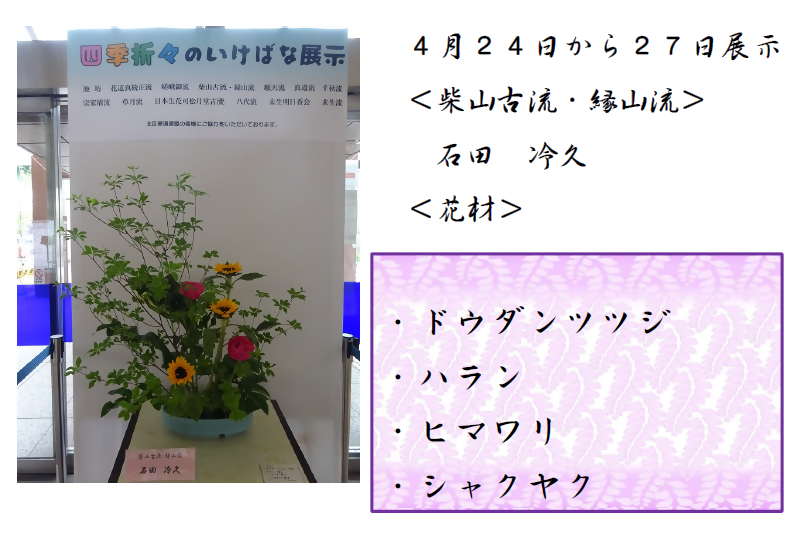 4月24日より27日展示、柴山古流・縁山流の石田先生の作品です。使用花材はドウダンツツジ、ハラン、ヒマワリ、シャクヤクです。
