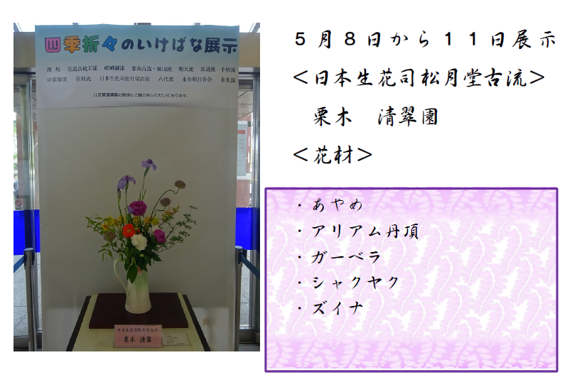 5月8日から11日展示、日本生花司松月堂古流の栗木先生の作品です。使用花材はあやめ、アリアム丹頂、ガーベラ、シャクヤク、ズイナです。