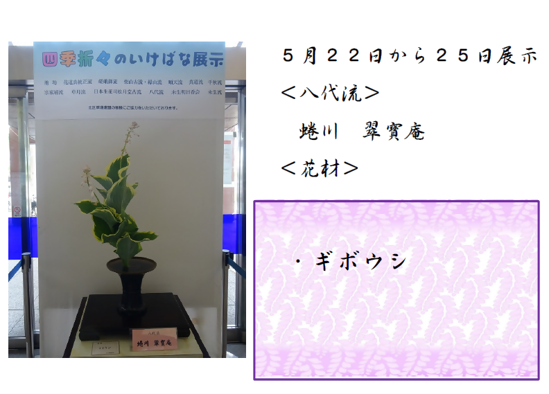 5月22日から25日展示、八代流の蜷川先生の作品です。使用花材はギボウシです。