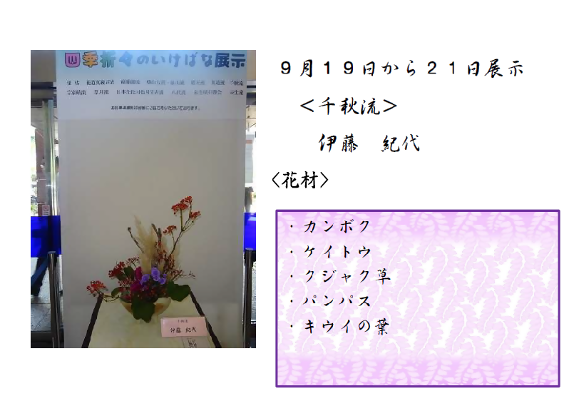 9月19日から21日展示、千秋流の伊藤先生の作品です。使用花材はカンボク、ケイトウ、くじゃく草、パンパス、キウイの葉