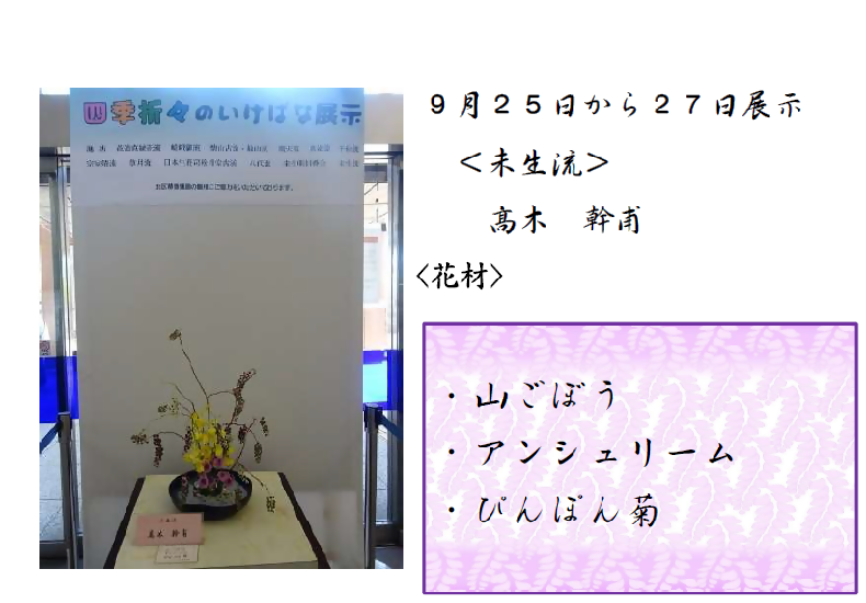 9月25日から27日展示、未生流の髙木先生の作品です。使用花材は山ごぼう、アンシュリーム、ぴんぽん菊です。