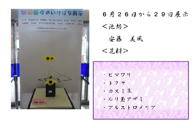 6月5日から8日展示、池坊の安藤先生の作品です。使用花材はヒマワリ、トクサ、カスミ草、ルリ玉アザミ、アルストロメリアです。