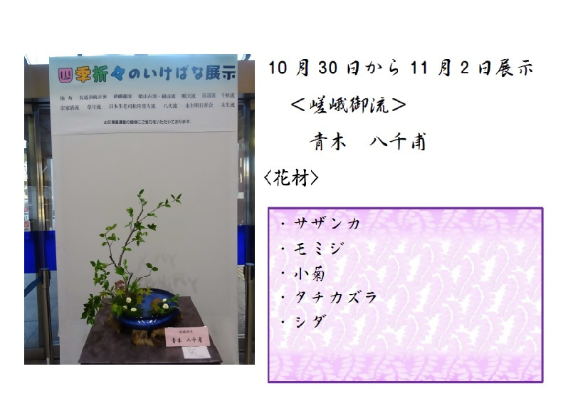 10月30日から11月2日展示、嵯峨御流の青木先生の作品です。使用花材はサザンカ、モミジ、小菊、タチカズラ、シダです。
