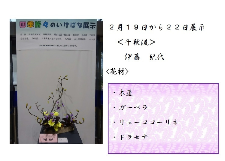 2月19日から2月22日展示、千秋流の伊藤先生の作品です。使用花材は木蓮、ガーベラ、リューココーリネ、ドラセナです。