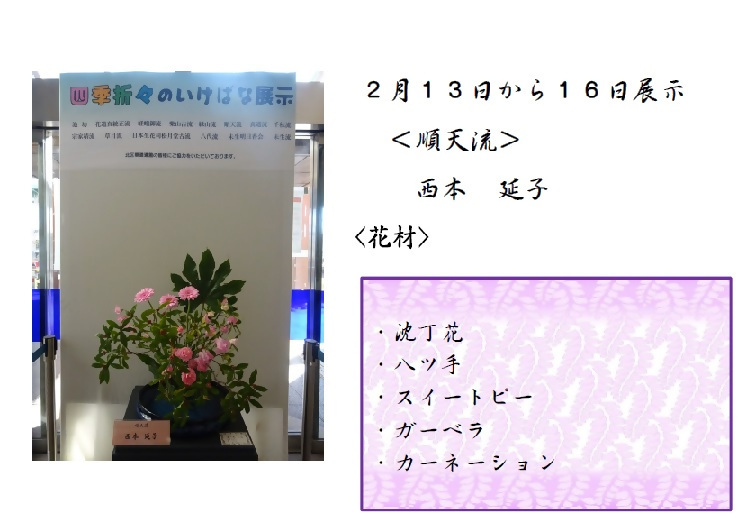 2月13日から2月16日展示、順天流の西本先生の作品です。使用花材は沈丁花、八ツ手、スイートピー、ガーベラ、カーネーションです。
