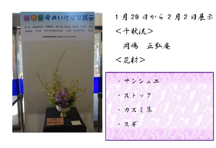 1月29日から2月2日展示、千秋流の岡嶋先生の作品です。使用花材はサンシュユ、ストック、カスミソウ、スギです。