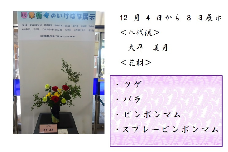 12月4日から12月8日展示、八代流の大平先生の作品です。使用花材はツゲ、バラ、ピンポンマム、スプレーピンポンマムです。
