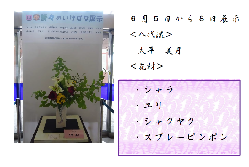 6月5日から8日展示、八代流の大平先生の作品です。使用花材はシュラ、ユリ、シャクヤク、スプレーピンポンです。