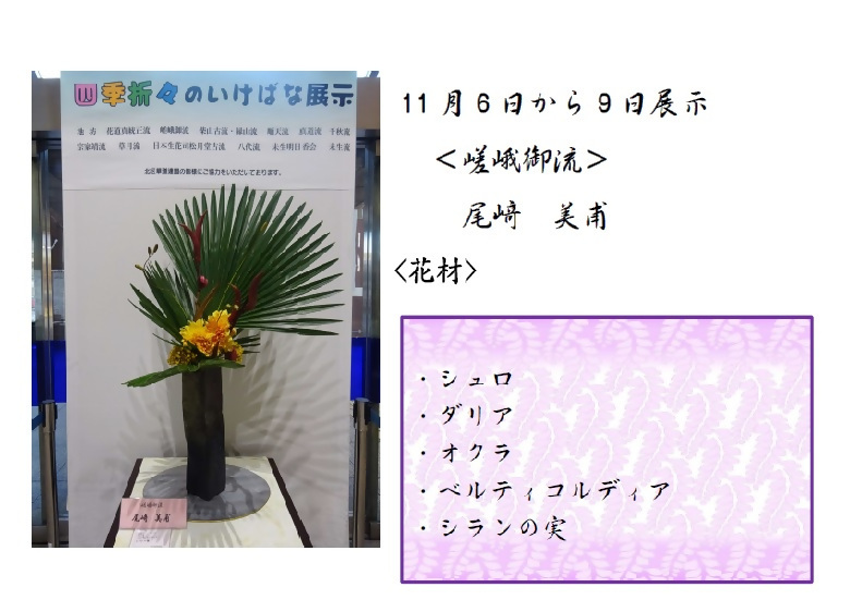 11月6日から11月9日展示、嵯峨御流の尾﨑先生の作品です。使用花材はシュロ、ダリア、オクラ、ベルティコルディア、シランの実です。