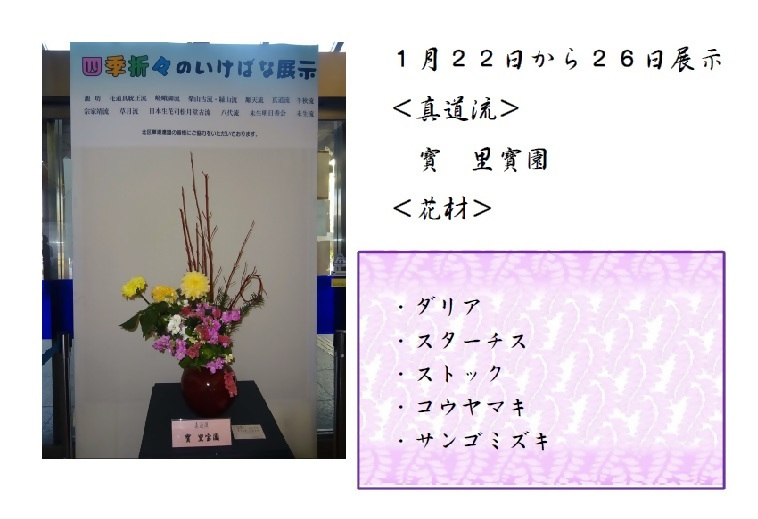 1月22日から1月26日展示、真道流の寶先生の作品です。使用花材はダリア、スターチス、ストック、コウヤマキ、サンゴミズキです。