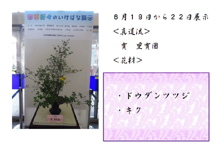 6月5日から8日展示、真道流の寶先生の作品です。使用花材はドウダンツツジ、キクです。