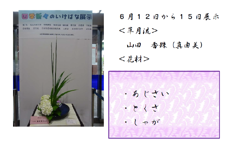 6月12日から15日展示、草月流の山田先生の作品です。使用花材はあじさい、とくさ、しゃがです。です。