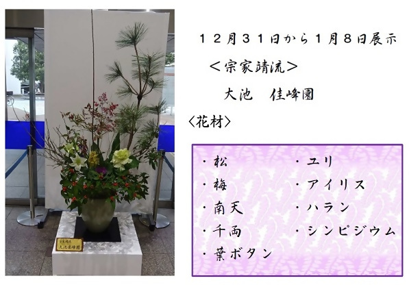 12月31日から1月8日展示、宗家靖流の大池先生の作品です。使用花材は松、梅、南天、千両、葉ボタン、ユリ、アイリス、ハラン、シンピジウムです。