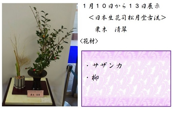 1月10日から13日展示、日本生花司松月堂古流の栗木先生の作品です。使用花材はサザンカ、柳です。