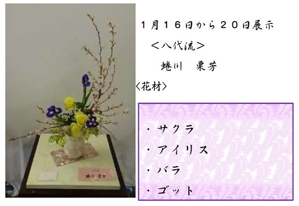 1月16日から20日展示、八代流の蜷川先生の作品です。使用花材はサクラ、アイリス、バラ、ゴットです。