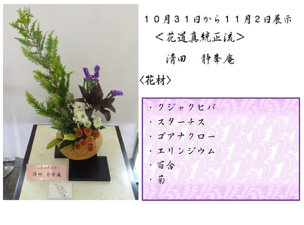 10月31日から11月2日展示、花道真統正流の清田先生の作品です。使用花材はクジャクヒバ、スターチス、ゴアナクロー、エリンジウム、百合、菊です。
