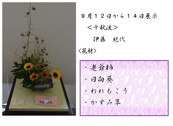 9月12日から14日展示、千秋流の伊藤先生の作品です。使用花材は老爺柿、日向葵、われもこう、かすみ草です。
