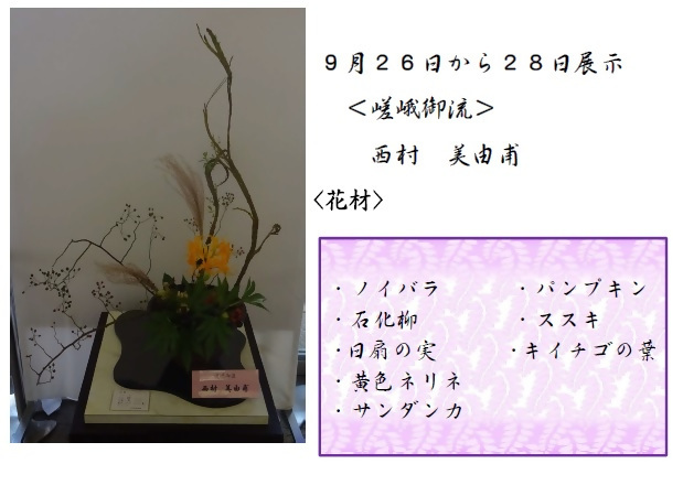 9月26日から28日展示、嵯峨御流の西村先生の作品です。使用花材はノイバラ、石化柳、日扇の実、黄色ネリネ、サンダンカ、パンプキン、ススキ、キイチゴの葉です。