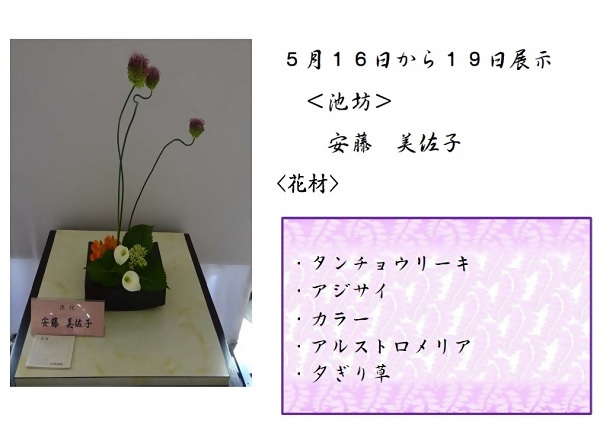5月16日から19日展示、池坊の安藤先生の作品です。使用花材はランチョウリーキ、アジサイ、カラー、アルストロメリア、夕ぎり草です。