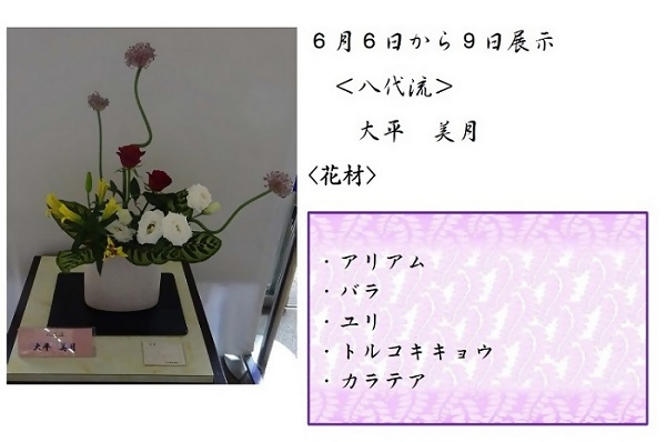 6月6日から9日展示、八代流の大平先生の作品です。使用花材はアリアム、バラ、ユリ、トルコキキョウ、ガラテアです。