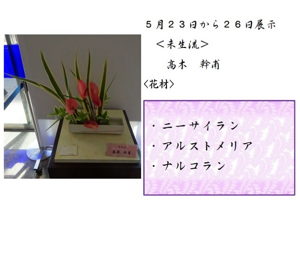 5月23日から26日展示、未生流の髙木先生の作品です。使用花材はニーサイラン、アルストメリア、ナルコランです。