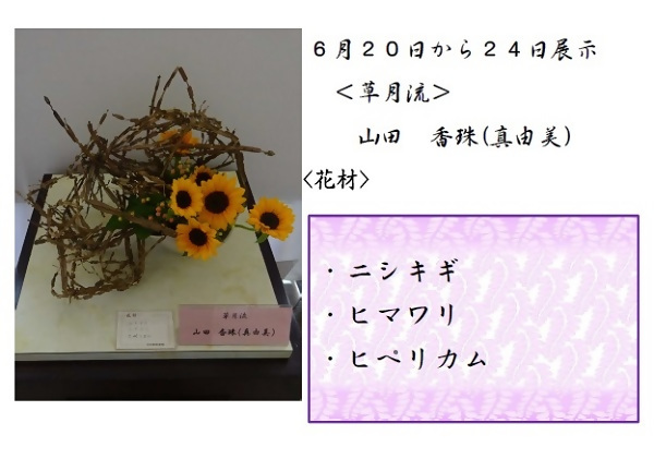 6月20日から24日展示、草月流の山田先生の作品です。使用花材はニシキギ、ヒマワリ、ヒぺリカムです。