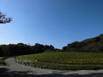 写真:現在の名城公園