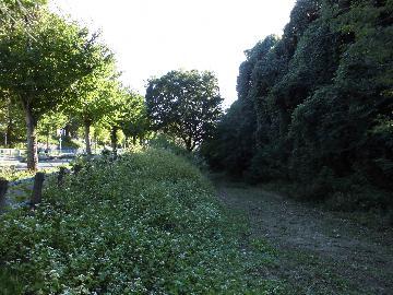 写真:現在の旧土居下駅周辺
