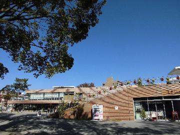 写真:現在の名城公園tonarino