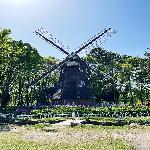 写真:名城公園 オランダ風車