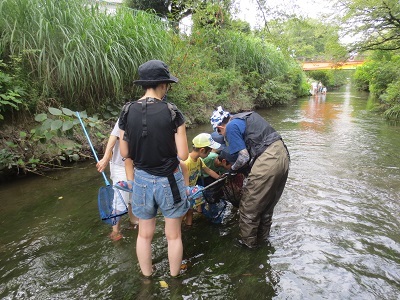 写真:夏休み親子観察会のようす